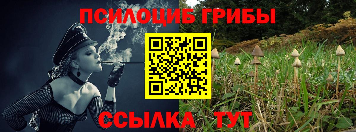 Новороссийск  Галлюциногенные грибы мухоморы  Вход с VPN 